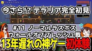 【初見テラリア】ノーマルのラスボス、ウォールオブフレッシュ倒すぞ！ #11 【Twitch同時配信】