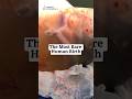 MAGICAL The Most RARE Human Birth Birth