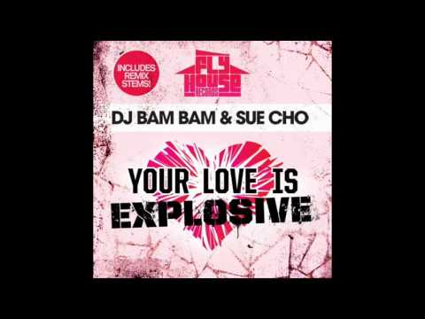 Your Love Is Explosive (RockaHouse' Get Dirty Mix) - DJ Bam Bam & Sue Cho