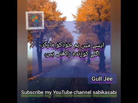 Best urdu lines,vol 11,Whatsapp motivatal status#short