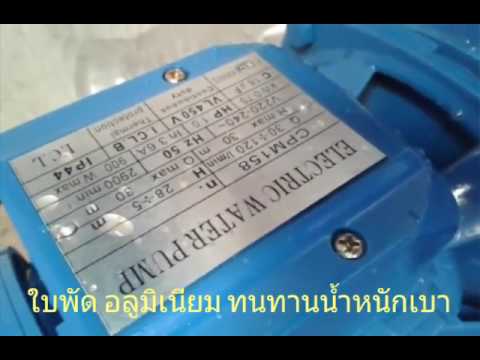 รักษาความอ่อนแอในอียิปต์ ที่จะซื้อเชื้อโรคม้าใน Permian