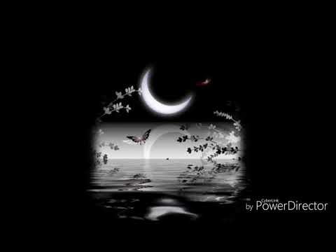 Trunka optimizma... {Ebu Muhammed}