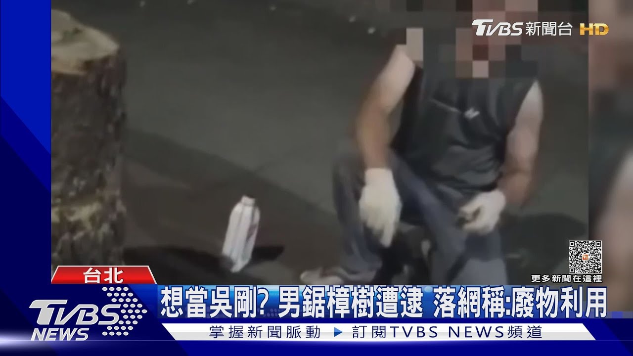 想當吳剛？男鋸樟樹遭逮　落網稱：廢物利用