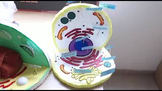 LPS Global School Video