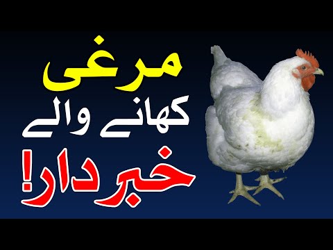 , title : 'Murgi Khane Wale Khabardar | murgi ka gosht | chicken meat | Mehrban Ali'