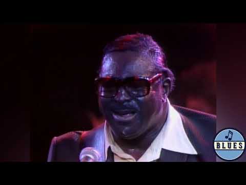 Albert King, Mick Taylor & John Mayall   Stormy monday Capitol Theatre New Jersey  '82 G 43HD