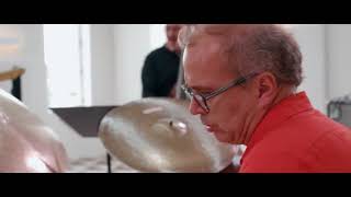 The Resplendent Whale - Julian Lage - Splendor Riot