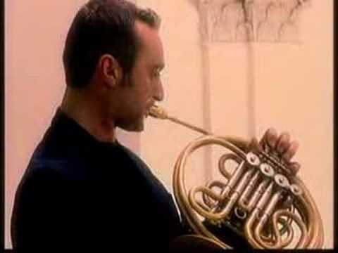 Brasylvia...french horn jazz