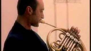 Brasylvia...french horn jazz