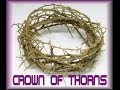 Crown of Thorns 