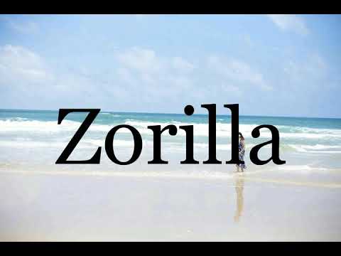 How To Pronounce Zorilla🌈🌈🌈🌈🌈🌈Pronunciation Of Zorilla