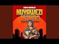 Huyawezi Mambo