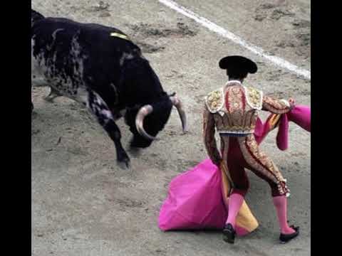 Romeo + Juliet - Exordium