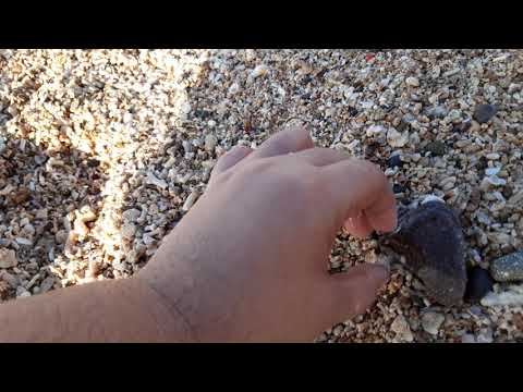 Beach Infront of my Beloved Home