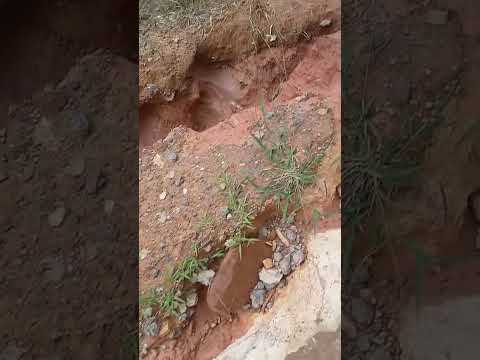 SANTOS DUMONT MINAS GERAIS