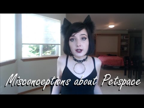 Kinky Opinions: Misconceptions about Petspace Video