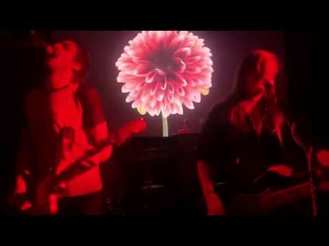 Tropical Fuck Storm - Chameleon Paint (LIVE at Richards Goat Arcata 8/30)