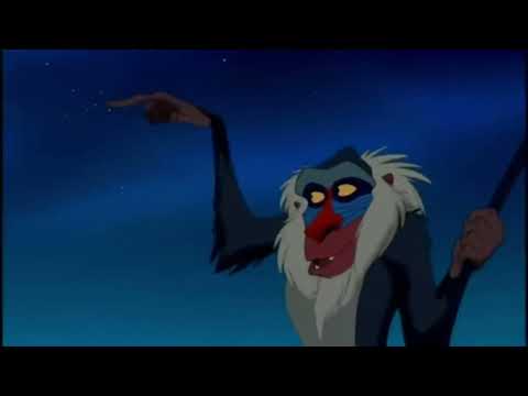 “Kung fu human” part 3 - enter classified/rafiki’s vision