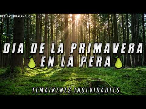 DIA DE LA PRIMAVERA EN LA PERA 🍐TEMAIKENES INOLVIDABLES (2021) ⚡Dee Jay Braian Leiva⚡