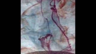 The Most Serene Republic Emergency Performance Art Piece