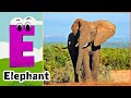 ABC Alphabet Song ABC Song Collection 2024 2027