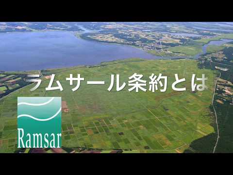 ラムサール条約の国際的に重要な湿地のリスト - 定義