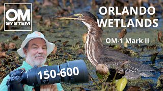 OM-1 Mark II Orlando Wetlands Bird Photography 150-600 September OM SYSTEM