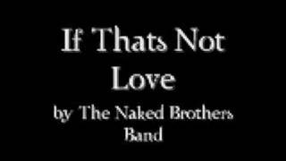 If Thats Not Love by The Naked Brothers Band