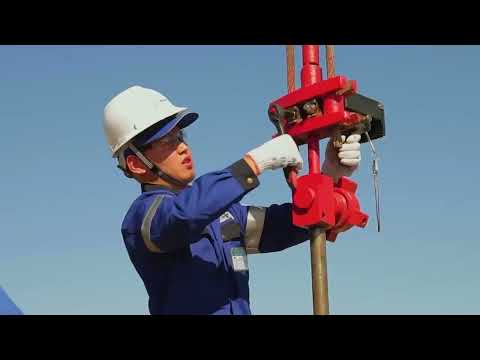 Эмбамунайгаз: итоги 2024 года