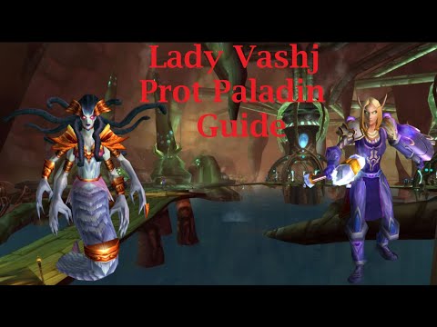 Lady Vashj Prot Paladin Guide - TBC Classic