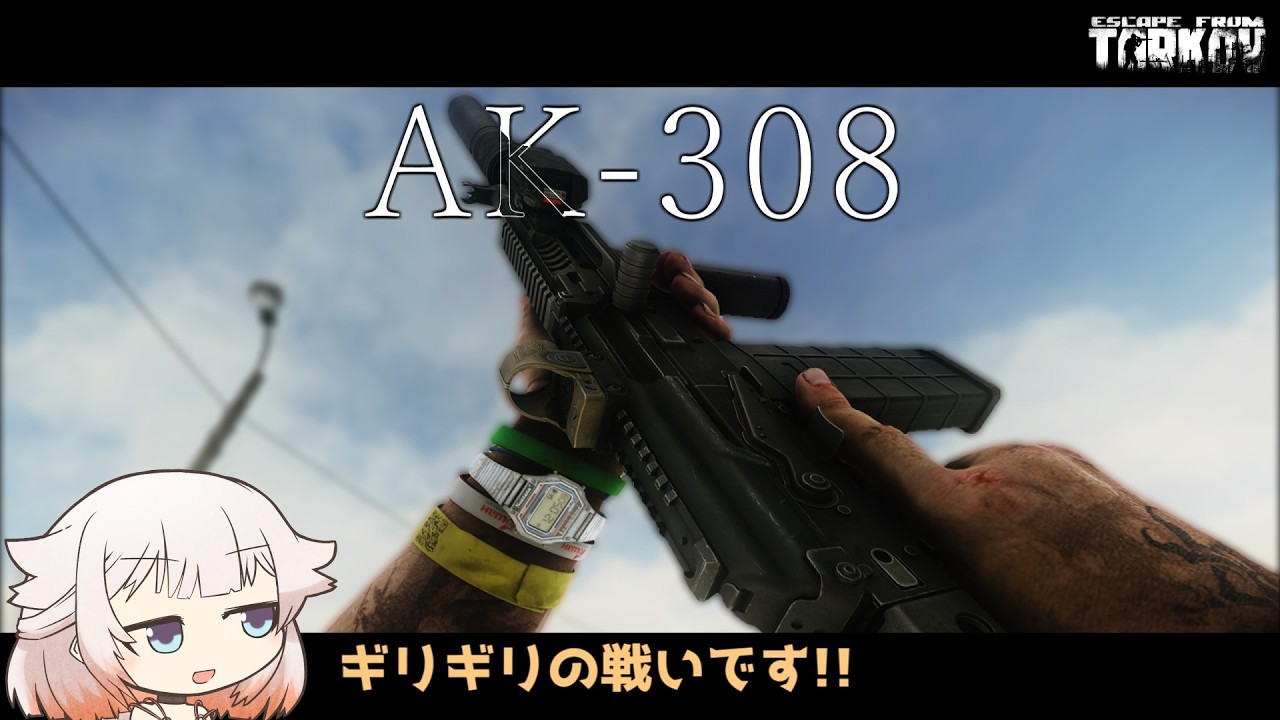 Kalashnikov AK-308 ギリギリの戦いです!!【タルコフ】ONE実況