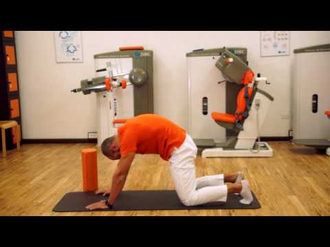 IL GATTO o CAT-CAMEL - Esercizio di mobilizzazione del rachide dorso-lombare