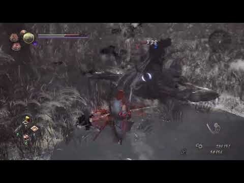 NIOH 2 pt28