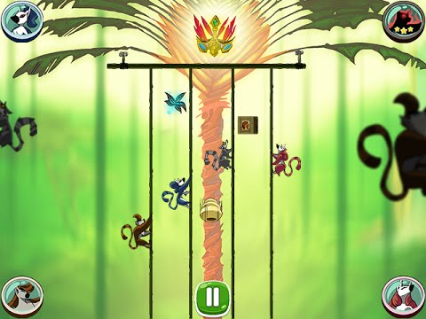 Monkey's ropes party