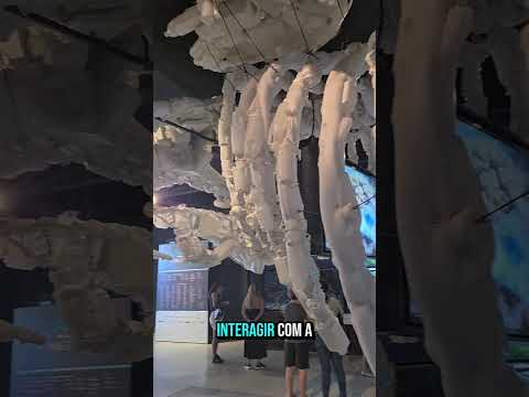 O segredo por trás da água de Curitiba que você não sabia! #Shorts