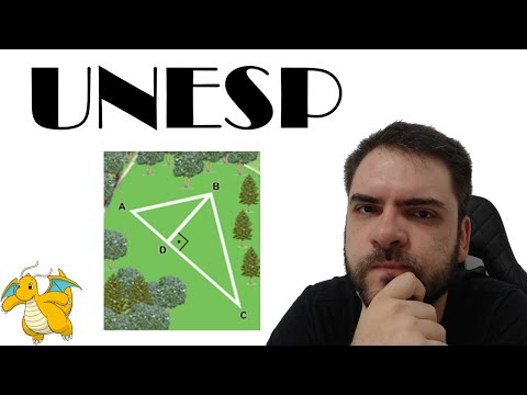 UNESP/2021 The figure shows an aerial view of a park with usable streets.