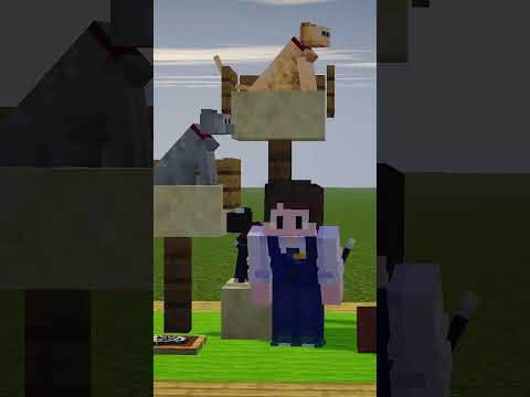 JAK ZBUDOWAĆ DOMEK dla KOTA w MINECRAFT | #cat #minecraft #shorts