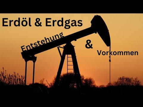 Woher genau kommt Erdöl? | Chemie 10a