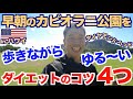 【#189】早朝のカピオラニ公園でお散歩(有酸素運動)しながらゆる〜くダイエットのコツ4つのお話です。