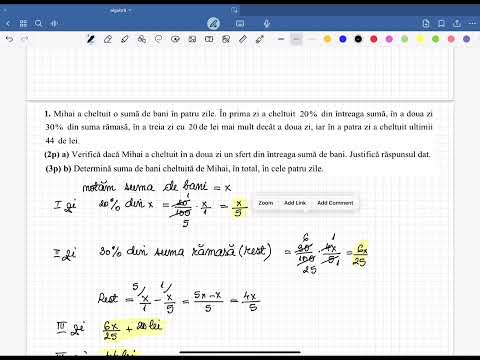 RAPOARTE ȘI PROCENTE