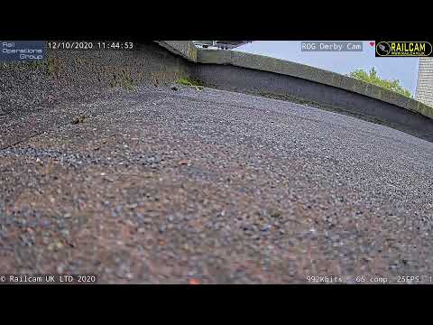 Railcam @ York ROC, Camera 1 - in Partnership with Network Rail