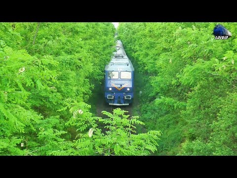 Piranda GM 64-0989-5 & Mecanic Super Enigneer in Viteză/Speed in Biharia - 04 June 2020
