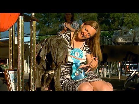 World's Ugliest Dog 2017 Revealed