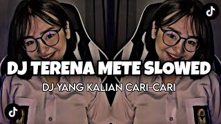 Download lagu DJ TERENA METE SLOWED VIRAL TIKTOK2023 FULLBAS-DJ TEBANG mp3