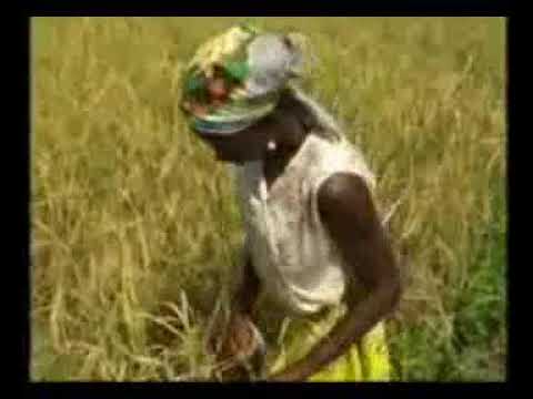 Le plus grand film africain  Yélé l'orpheline 02  en Malinké