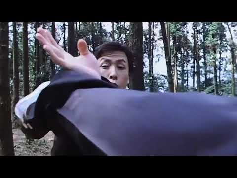 city of darkness   Donnie Yen 甄子丹   final fight scene