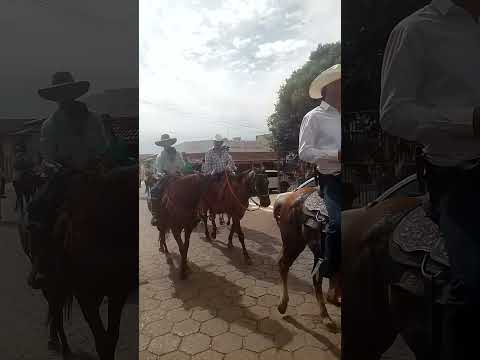 #Cavalgada da #festadopeao de #boiadeiro em Santa Rosa de Goiás, Brasil. Foi um mega evento!!!