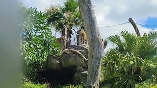 Download lagu video 20250106 113601 mp3 Download lagu video 20250106 113601 mp3