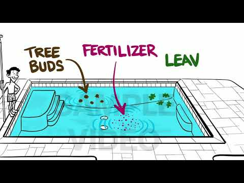 2nd YouTube video about how soon can you swim after plastering pool