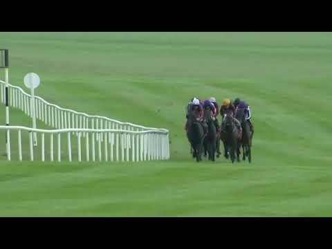Irish Derby 2020 Group 1